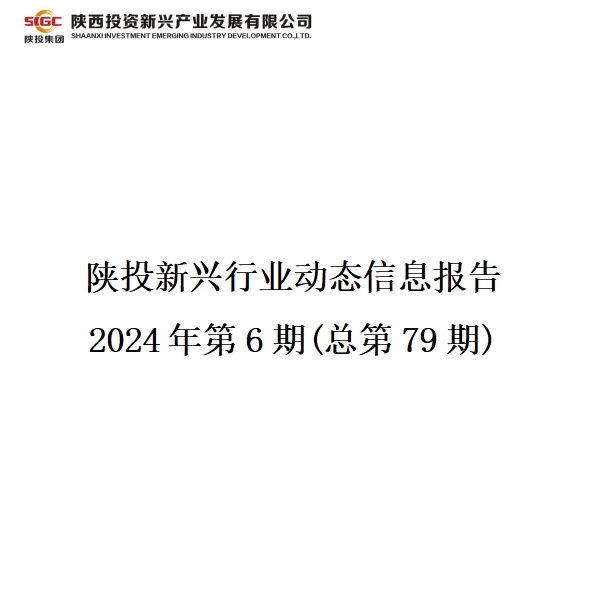 陕投新兴行业动态信息报告  2024年第6期(总第79期)